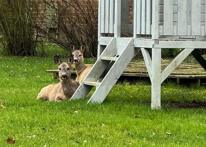 Apartamento Voss 8 Staberdorf